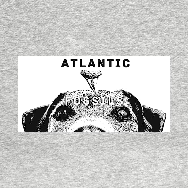 Dog and Shark Tooth Black and White by AtlanticFossils